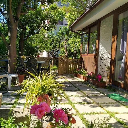 Villino L'Aranceto Sorrentino Bed & Breakfast Мета Екстериор снимка