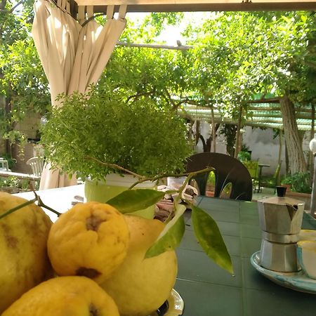 Villino L'Aranceto Sorrentino Bed & Breakfast Мета Екстериор снимка