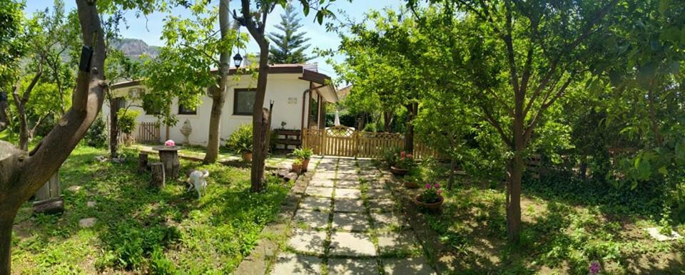 Villino L'Aranceto Sorrentino Bed & Breakfast Мета Екстериор снимка