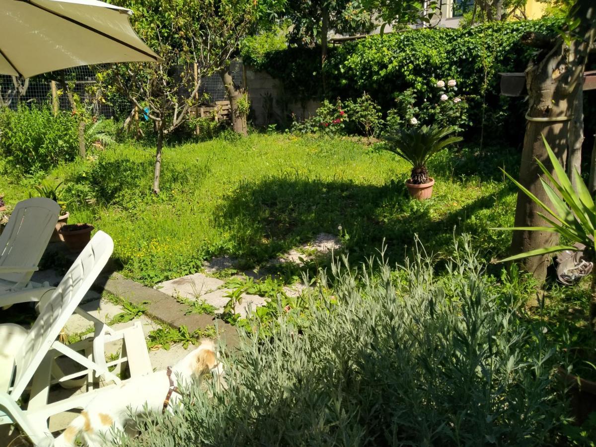 Villino L'Aranceto Sorrentino Bed & Breakfast Мета Екстериор снимка