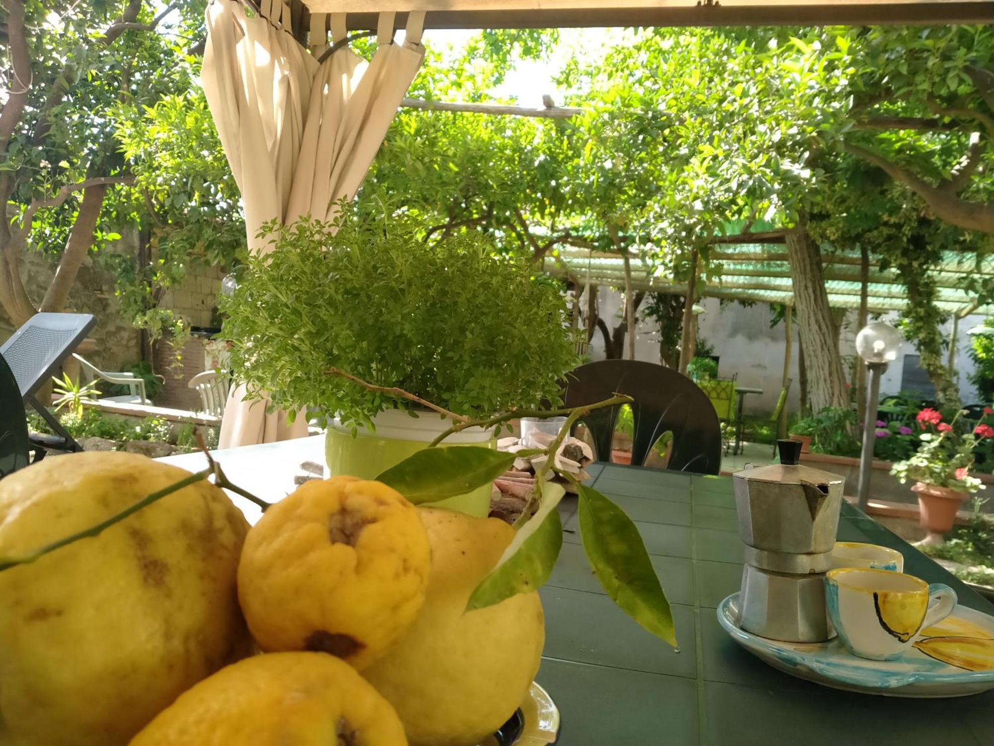 Villino L'Aranceto Sorrentino Bed & Breakfast Мета Екстериор снимка