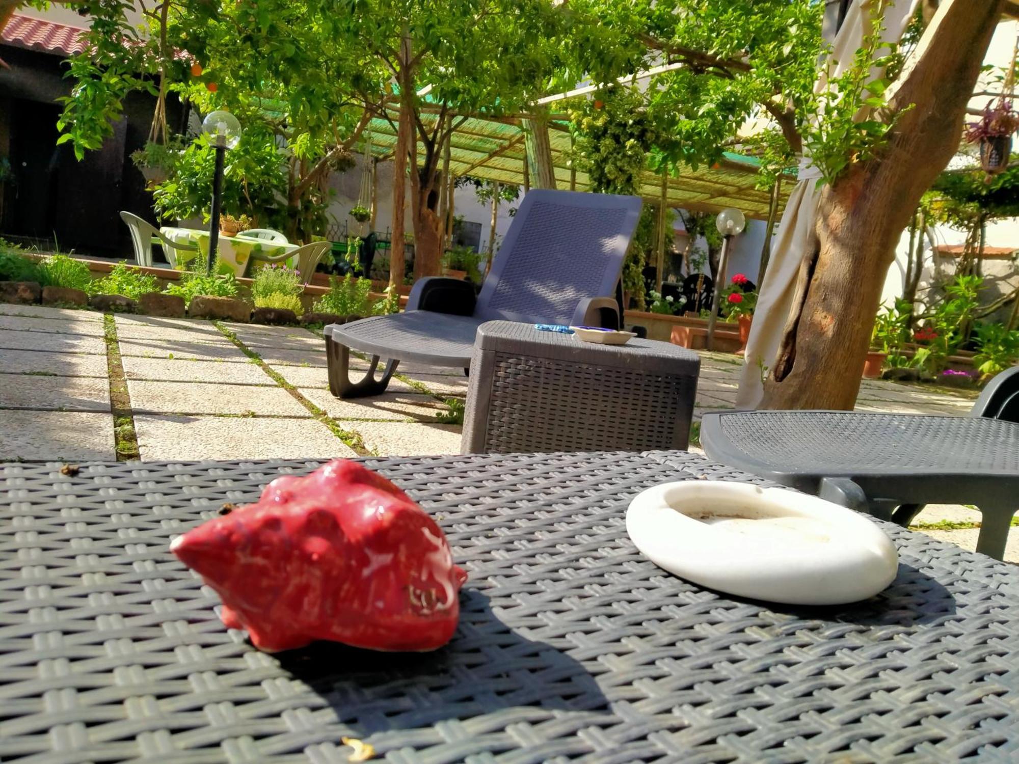 Villino L'Aranceto Sorrentino Bed & Breakfast Мета Екстериор снимка