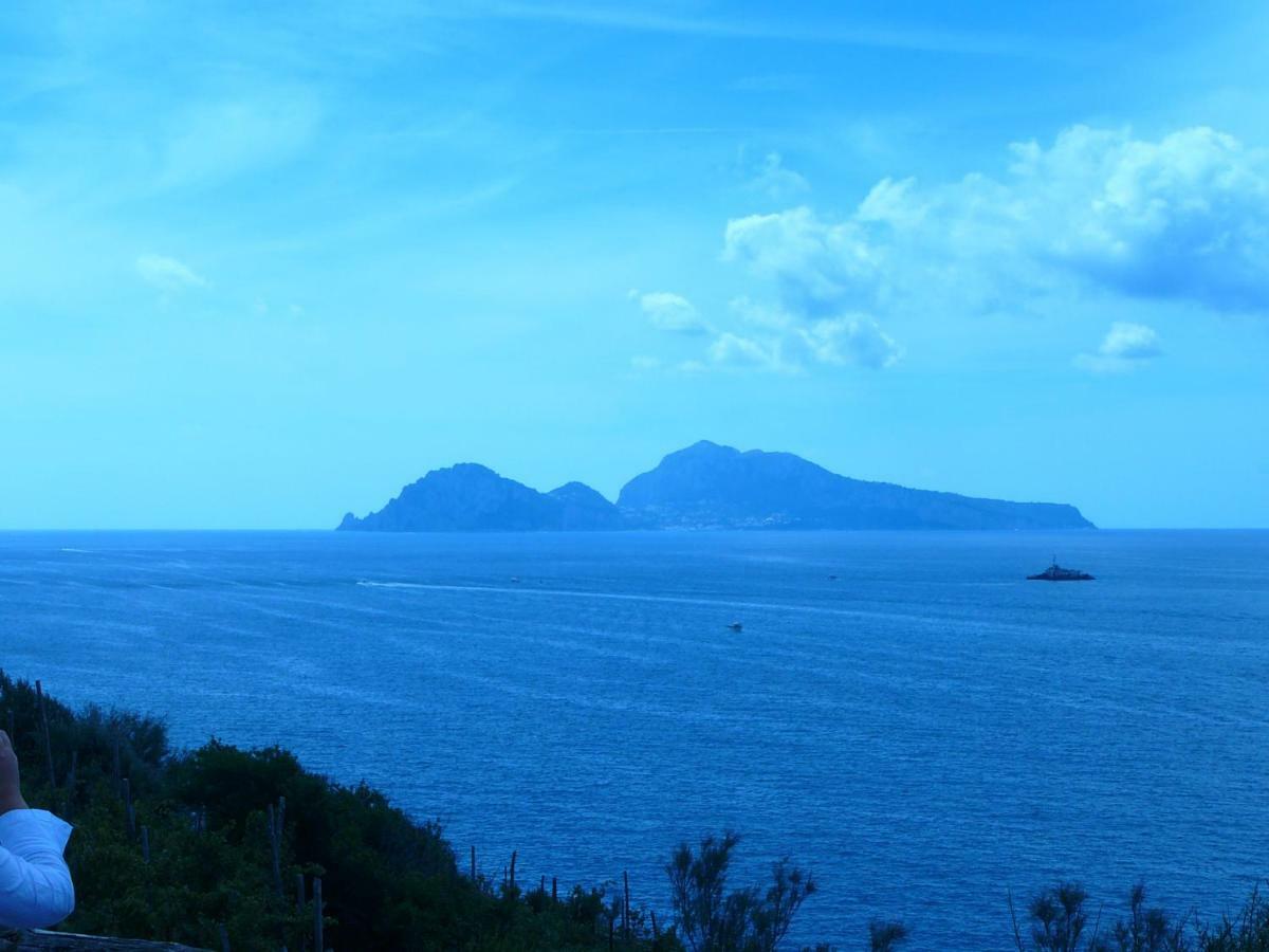Villino L'Aranceto Sorrentino Bed & Breakfast Мета Екстериор снимка