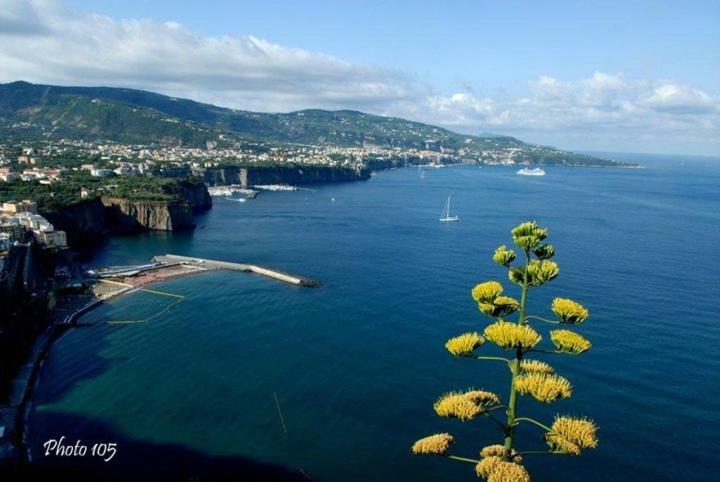 Villino L'Aranceto Sorrentino Bed & Breakfast Мета Екстериор снимка
