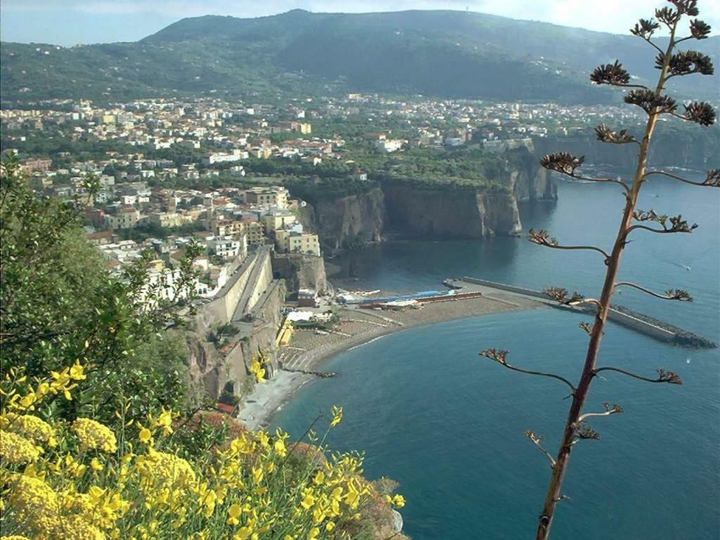 Villino L'Aranceto Sorrentino Bed & Breakfast Мета Екстериор снимка