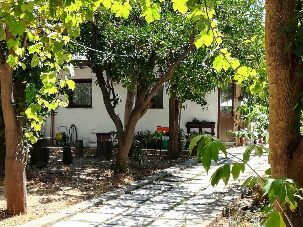 Villino L'Aranceto Sorrentino Bed & Breakfast Мета Екстериор снимка