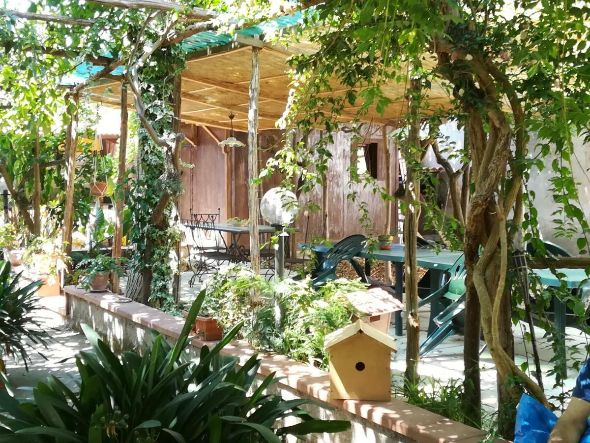 Villino L'Aranceto Sorrentino Bed & Breakfast Мета Екстериор снимка