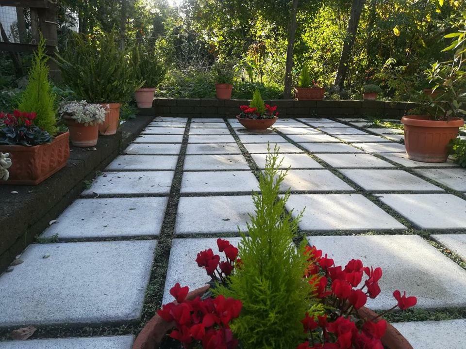 Villino L'Aranceto Sorrentino Bed & Breakfast Мета Екстериор снимка
