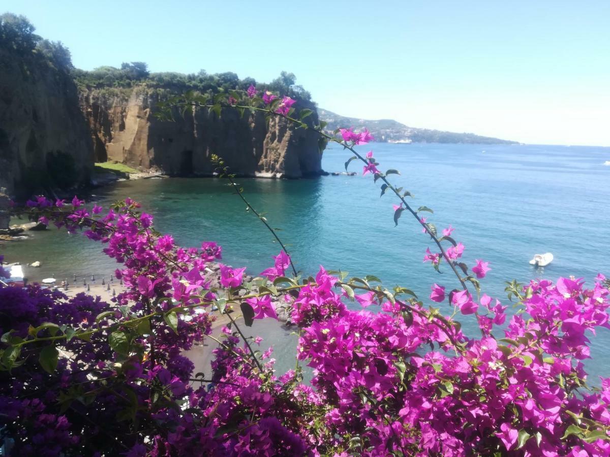 Villino L'Aranceto Sorrentino Bed & Breakfast Мета Екстериор снимка
